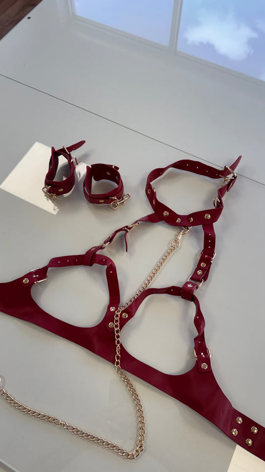 Kit top e algemas ajustáveis com coleira